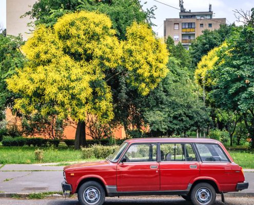 ارزهای دیجیتال در اروپای شرقی