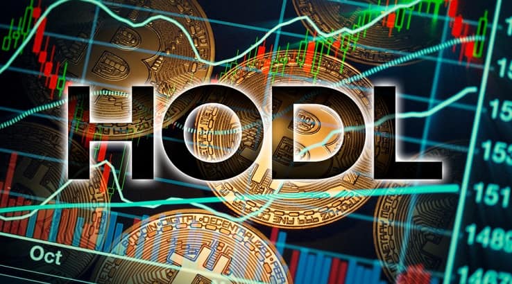 استراتژی سرمایه گذاری hodl در ارز دیجیتال