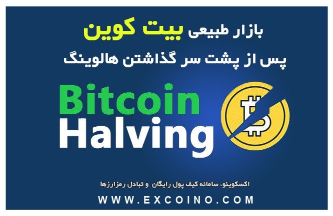 بازار طبیعی بیت کوین پس از پشت سر گذاشتن هالوینگ!