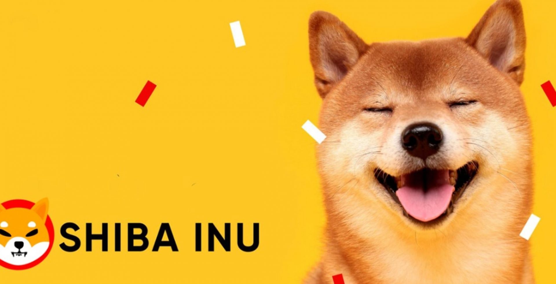 شیبا اینو Shiba Inu چیست و چه آینده ای دارد؟