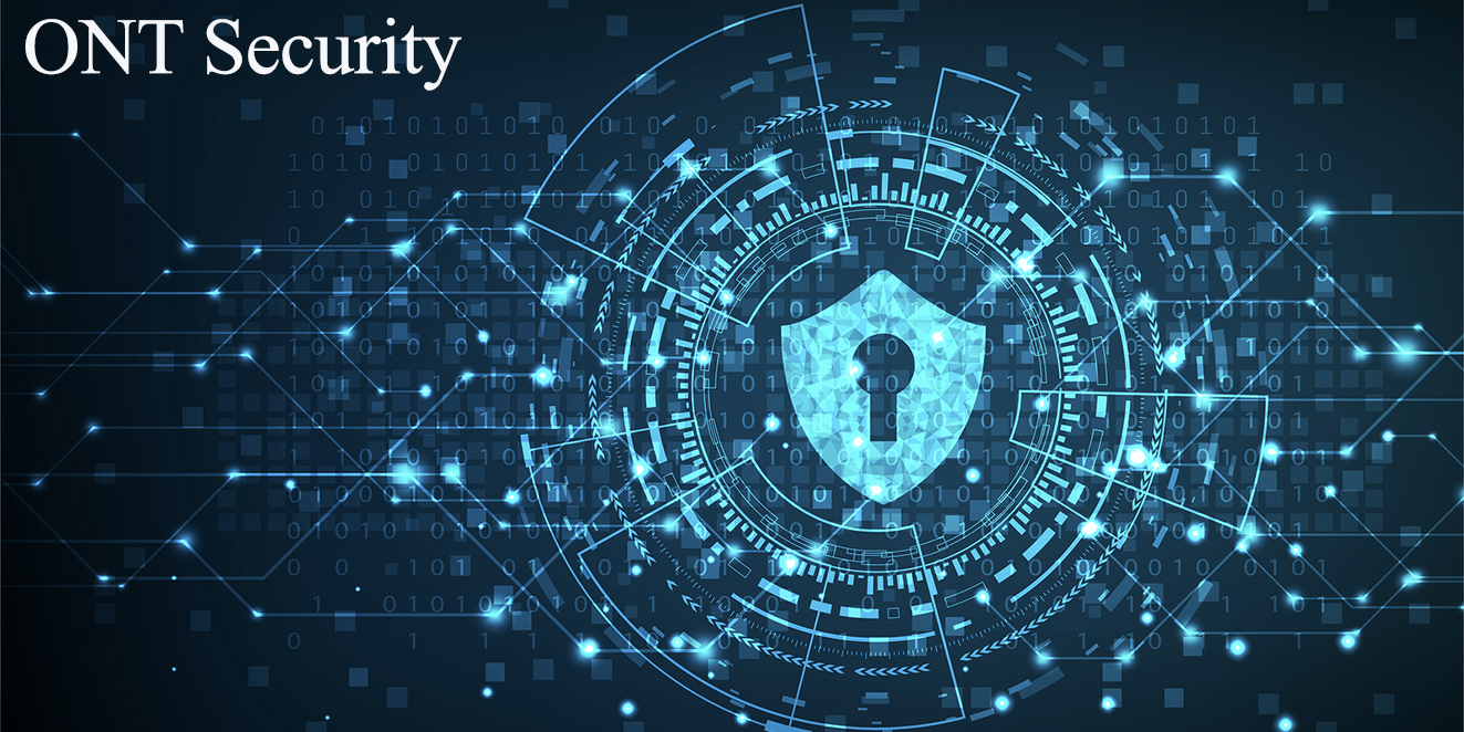 امنیت شبکه آنتولوژی چگونه تامین می شود؟ 