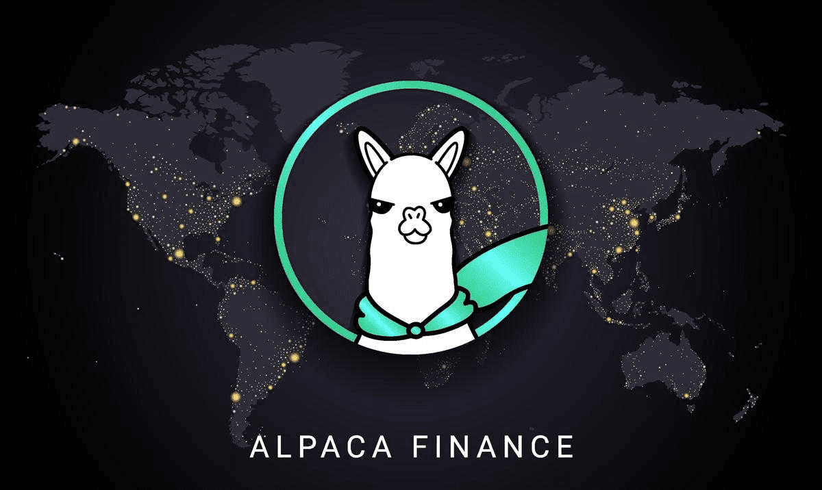 alpaca