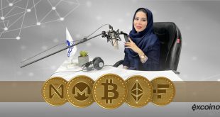 پنج رمز ارز برتر