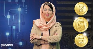 تفاوت بیبی دوج و شیبا و دوجکوین