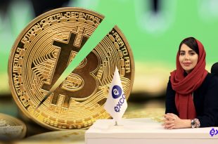 هاوینگ بیت‌کوین