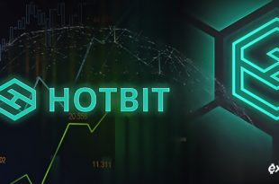 hotbit