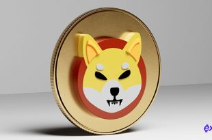 آینده ارز دیجیتال شیبا اینو Shiba Inu