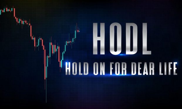 HODL درست است یا HOLD؟