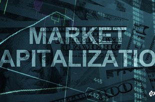 Market Capitalization