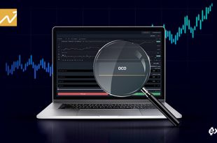oco به اکسکوینومارکت اضافه شد