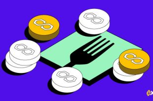 اتمام موفقیت‌آمیز هارد فورک پالیگان