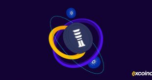 استیبل کوین کاردانو راه‌اندازی شد