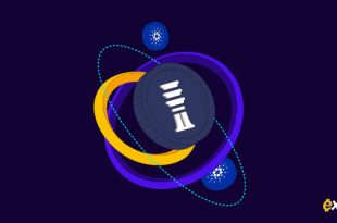 استیبل کوین کاردانو راه‌اندازی شد