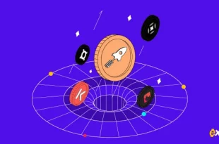 6 توکن جدید اکسکوینو