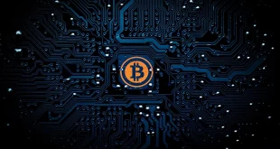نظر سیلور درباره امنیت سایبری با بیت کوین