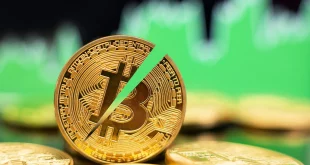 بیست و نهمین هاوینگ بیت کوین
