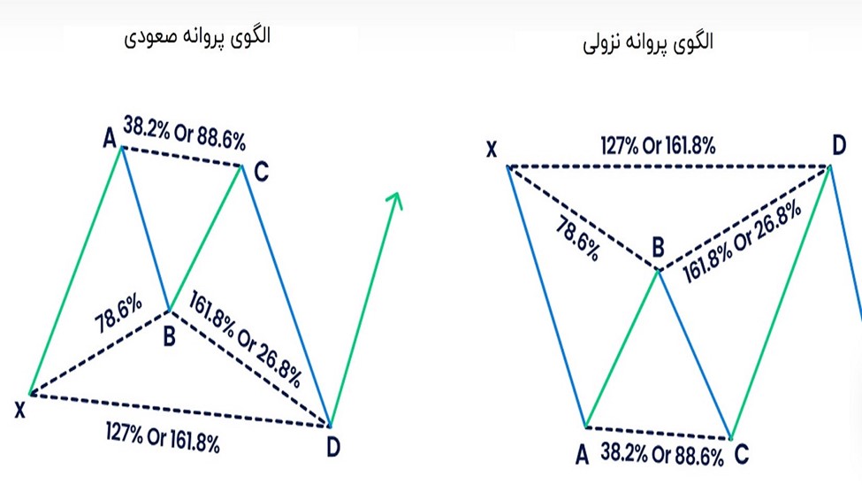 الگوی هارمونیک پروانه