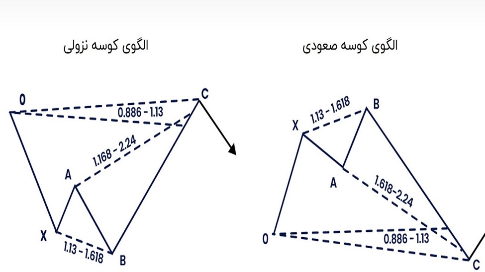 الگوی هارمونیک کوسه