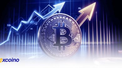 بیتکوین هنوز در مسیر صعود