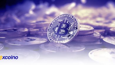 نوسانات قیمت بیتکوین
