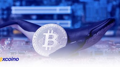 بازگشت نهنگهای بیتکوین به بازار