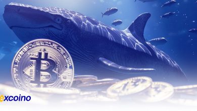 خرید سنگین نهنگهای بیتکوین در بازار صعودی