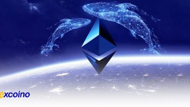 افزایش قیمت اتریوم با تراکنشهای نهنگها