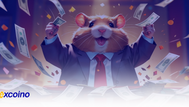 آموزش کامل کارت های همستر کامبت