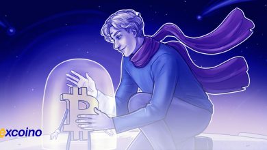 توصیه مدیر فیدلیتی به سرمایهگذاری در بیتکوین