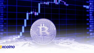 باز کردن پوزیشن خرید در محدوده 69000 دلار توسط نهنگهای بیتکوین