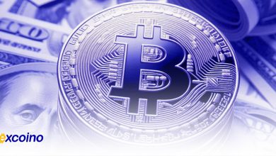 پیشنهاد خرید بیتکوین برای مبازه با تورم