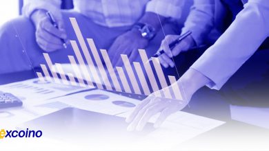 اهمیت تنوع سبد سرمایهگذاری