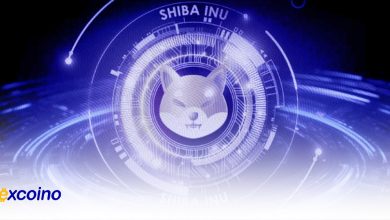 پتانسیل افزایش قیمت شیبا اینو