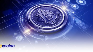 نوسانات بیتکوین