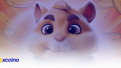 بهترین کیف پول ها برای همستر کامبت