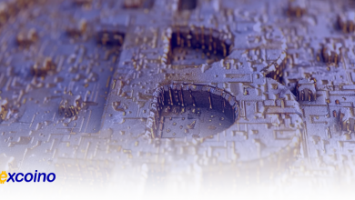 ذخایر نهنگهای بیتکوین