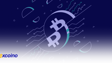 هاوینگ بیت کوین چه تاثیری روی ماینرها میگذارد؟