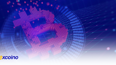 اصطلاحات ارز دیجیتال