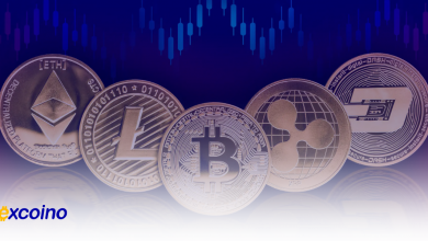 قوانین و مقررات استخراج (ماینینگ) رمز ارز در ایران