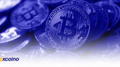 همزمان با افزایش قیمت، هشریت بیتکوین افزایش مییابد