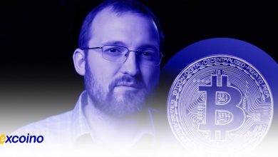 چارلز هاسکینسون از درک بیتکوین پیتر شیف انتقاد میکند