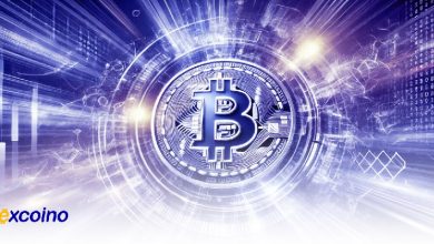 سناتور تیم اسکات از بیتکوین و نوآوری مالی حمایت میکند