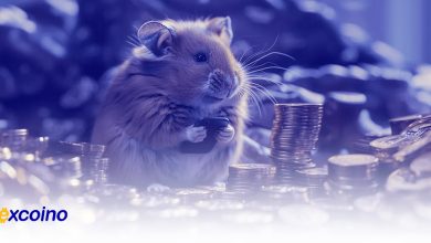 راهاندازی توکن همستر به تاخیر افتاد