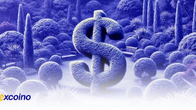 ثبات بازار استیبلکوینها در ماه ژوئن