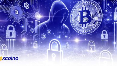 دو برابر شدن ارقام هکهای کریپتویی نسبت به سال 2023