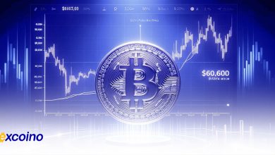 بسته شدن کندل هفتگی بالای 60600 میتونه از ریزش بیشتر BTC جلوگیری کنه