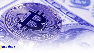 جک دورسی تصور میکنه بیتکوین جایگزین دلار آمریکا میشه