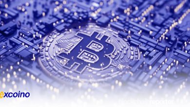 انباشت بیتکوین به اوج 10 ساله خود میرسد