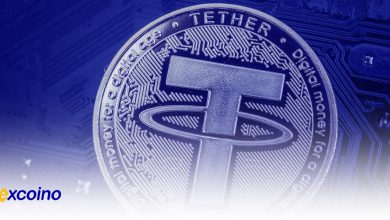 افزایش نیروی کار شرکت تتر تا اواسط 2025