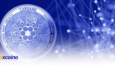 ارتقا راهکار مقیاسپذیری هایدرا در بلاکچین کاردانو